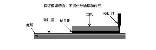 微信圖片_20210511145022.jpg